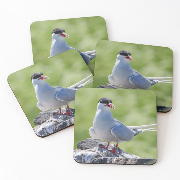 Item preview, seagull having a break on a rock designed and sold by rosiebeeston.