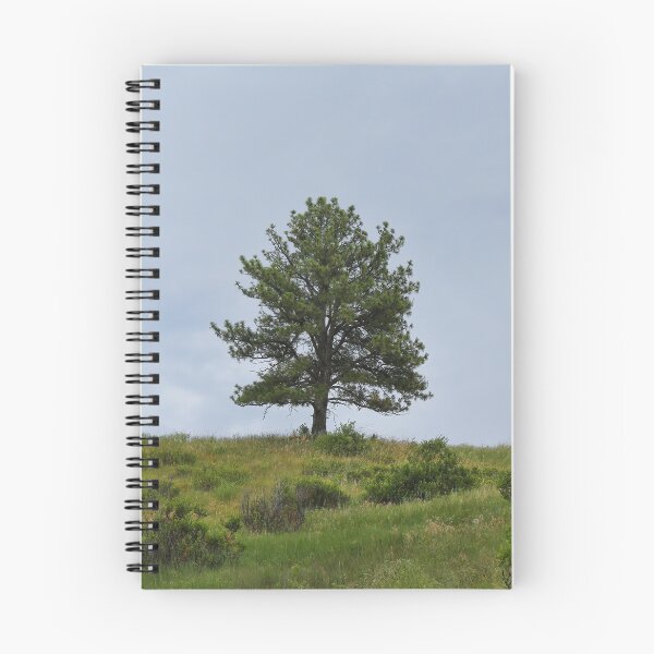 Item preview, Somewhere A Tree Grows  designed and sold by Lanis Rossi.
