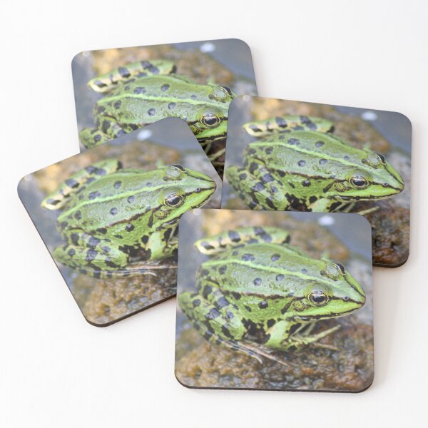 Item preview, Common Water Frog designed and sold by Marije Kouyzer.