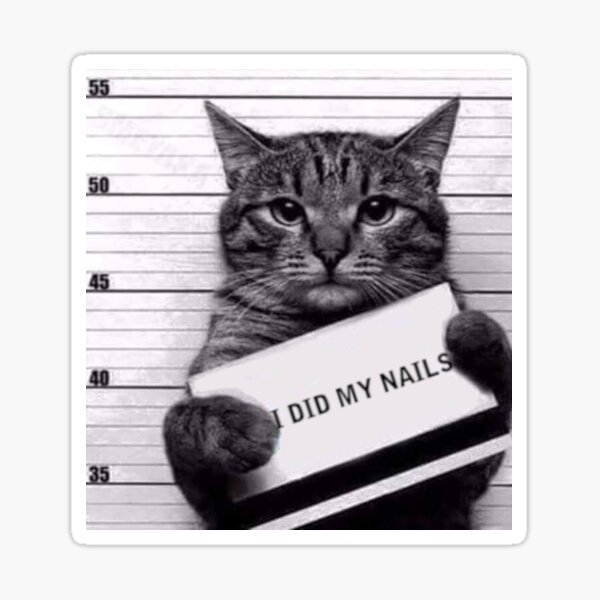 "Funny cat in prison" Sticker for Sale by MapoDesign Redbubble
