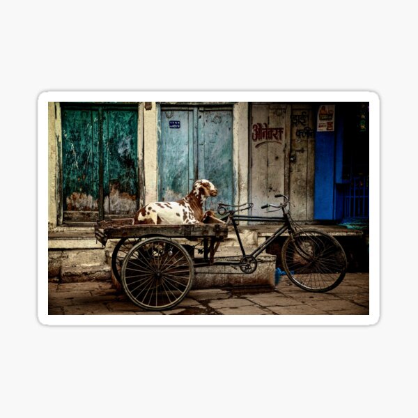 Goat on Wheels Sticker
