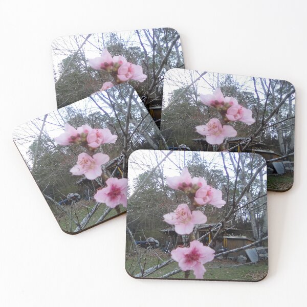 Item preview, Peach blossoms designed and sold by kyrnn.