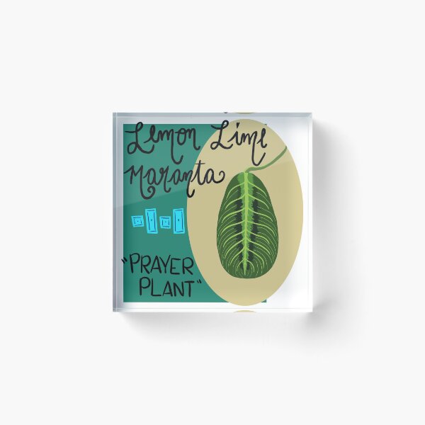 Item preview, Prayer Plant Houseplant Art Print designed and sold by VibrantByNature.