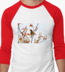 Yellow Warbler Men's Baseball ¾ T-Shirt