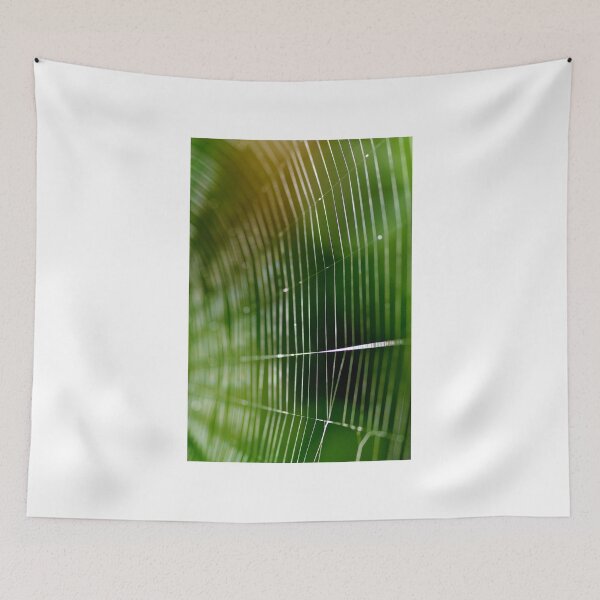 Item preview, Web Of The Orb Weaver designed and sold by LinneaJean.