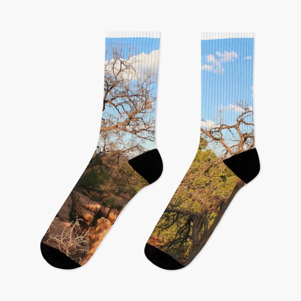 Item preview, Canyon de Chelly towards Sunset, Arizona, USA designed and sold by FranWest.