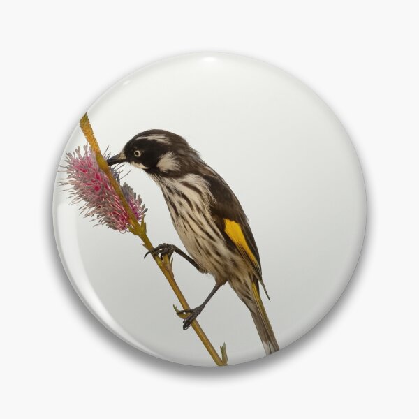Item preview, New Holland Honeyeater designed and sold by David  Hibberd.