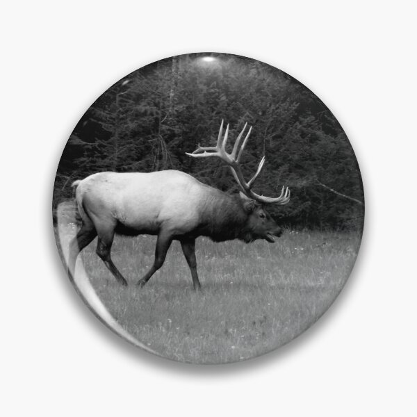 Item preview, Bull Elk Jasper National Park designed and sold by KareyCongo.