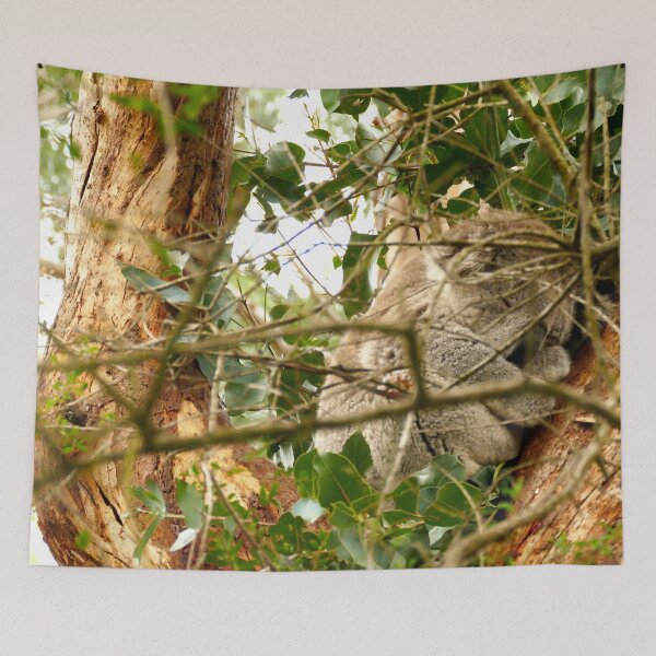 Item preview, Sleepy Koala designed and sold by LuzTraful.