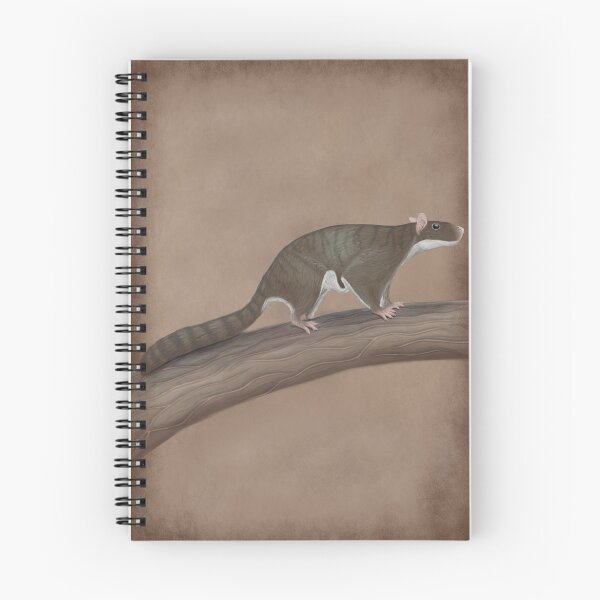 Item preview, Volaticotherium antiquum - extinct gliding mammal designed and sold by synapsid.