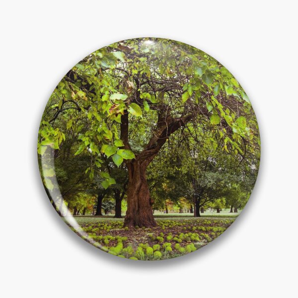 Item preview, Osage Orange Tree designed and sold by allymerx.