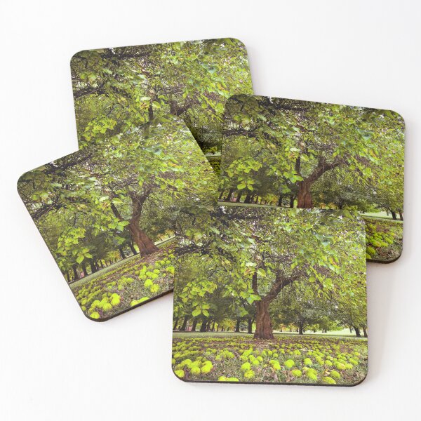 Item preview, Osage Orange Tree designed and sold by allymerx.