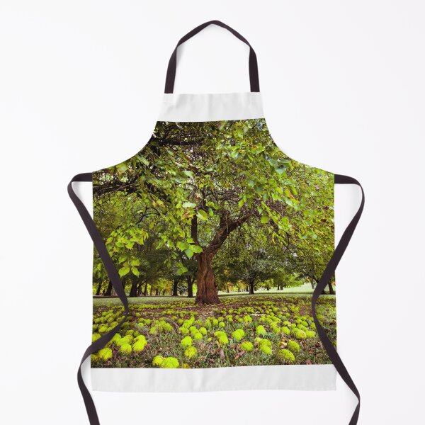 Item preview, Osage Orange Tree designed and sold by allymerx.