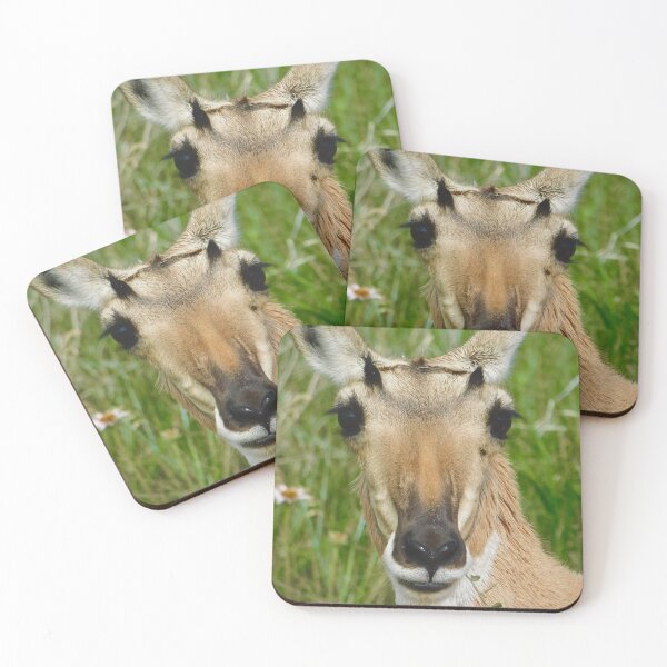 Item preview, Hello Beautiful! designed and sold by Mama-Joe.