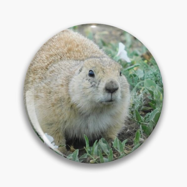 Artikelvorschau, Chunky Gopher entworfen und verkauft von Mama-Joe.
