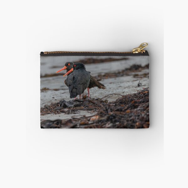 Item preview, Oyster Catcher Loiter | New Zealand Wildlife Bird designed and sold by Fikatography.