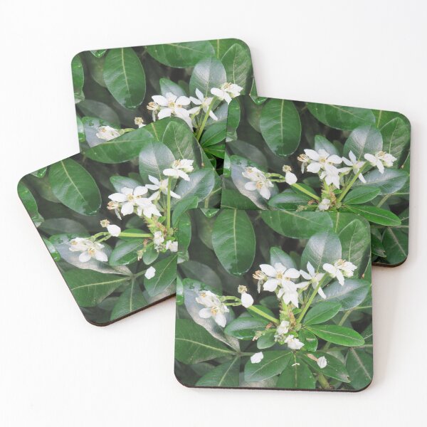 Item preview, White flowering shrub designed and sold by greentiger1.