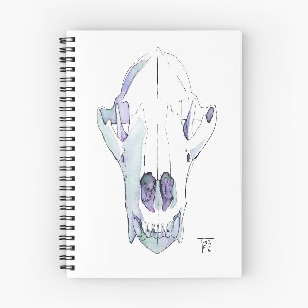 Item preview, bear skull designed and sold by terastar.