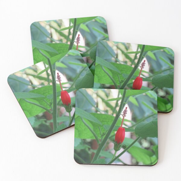Item preview, Turk's cap flower designed and sold by greentiger1.