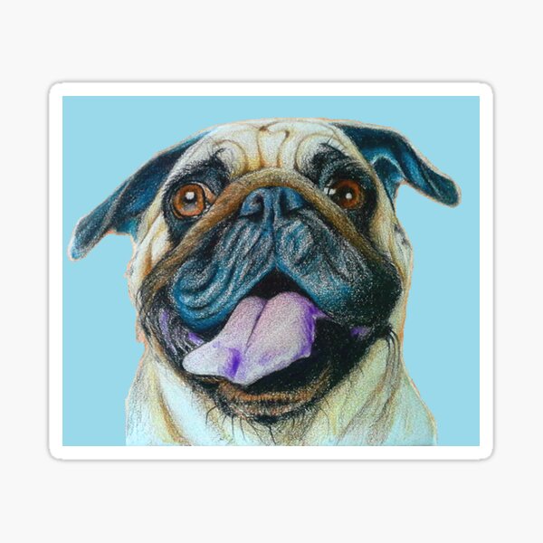 Pug Print Sticker