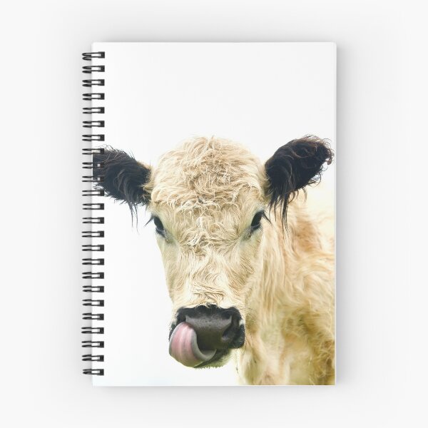 Item preview, Dairy Cow licks nose designed and sold by ArtbyBodge.