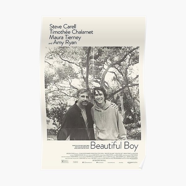 beautiful boy Poster