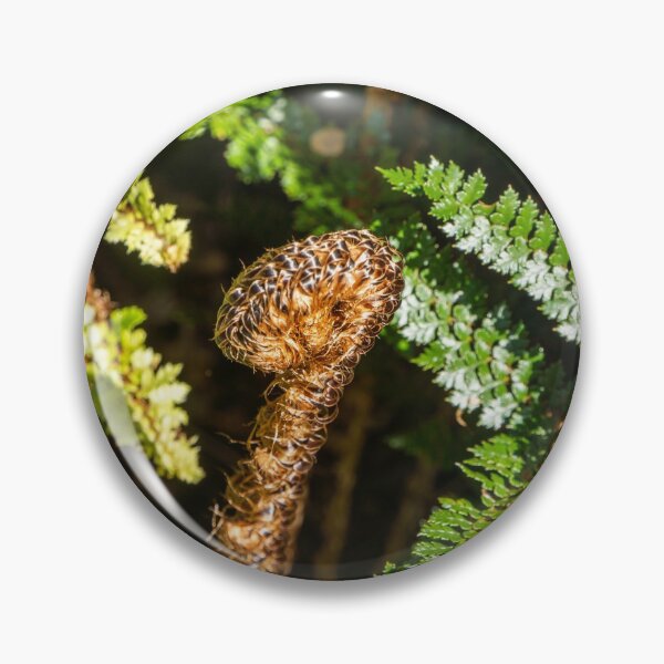 Item preview, Koru designed and sold by Anne Scantlebury.