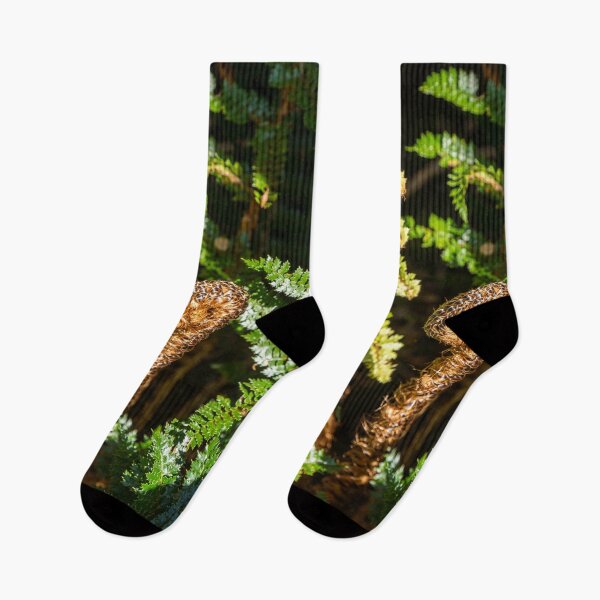 Item preview, Koru designed and sold by Anne Scantlebury.