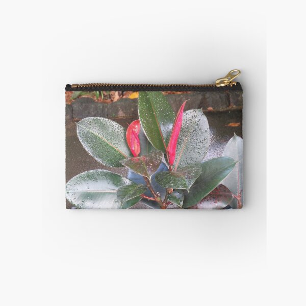 Item preview, Rubber plant designed and sold by greentiger1.