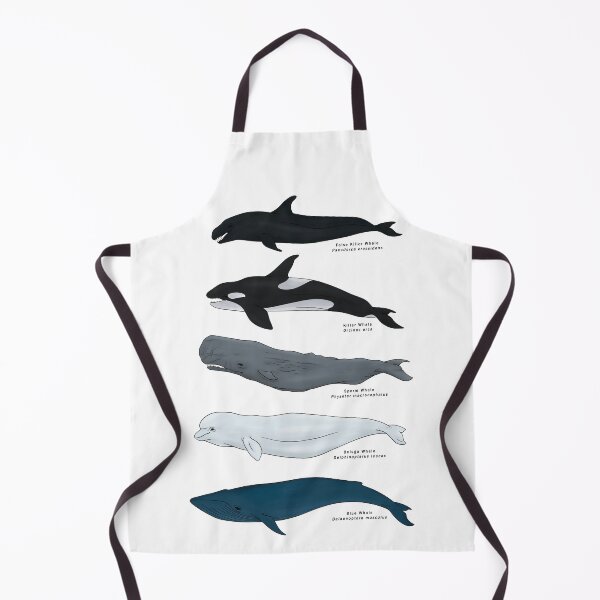 Item preview, Cetacian Designs designed and sold by Remoraide.