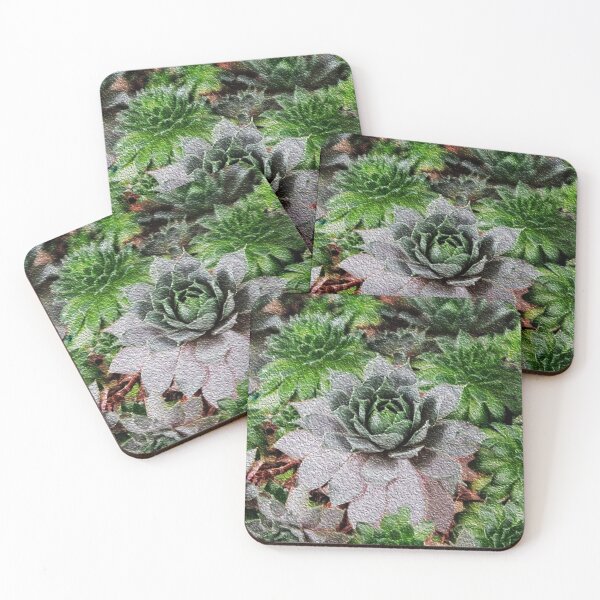 Item preview, Summer Sedum Art designed and sold by heatherfriedman.