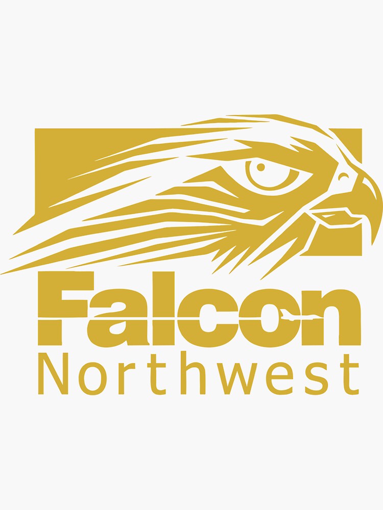 falcon northwest computer