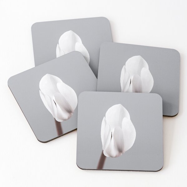 Item preview, Close of White Cyclamen Flower designed and sold by Dreamscape Eclectic .