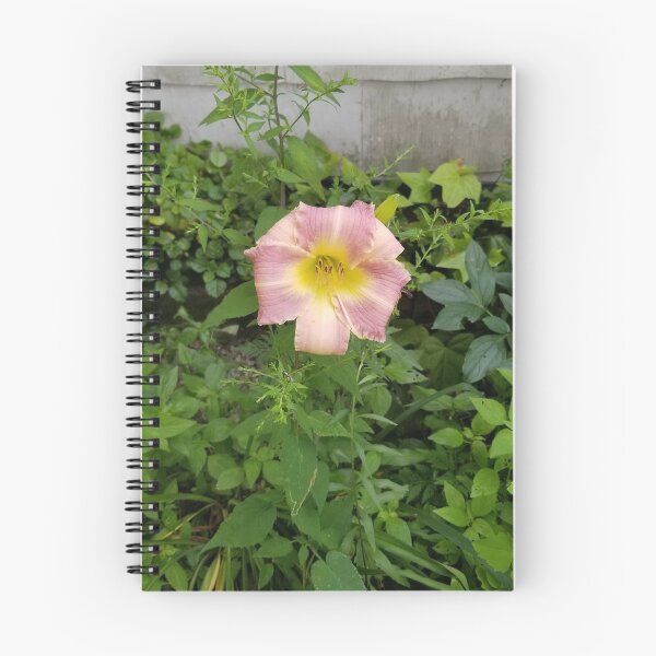 Item preview, Single Flower designed and sold by gailmariekern.