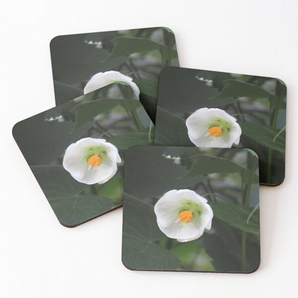 Item preview, White abutilon designed and sold by greentiger1.