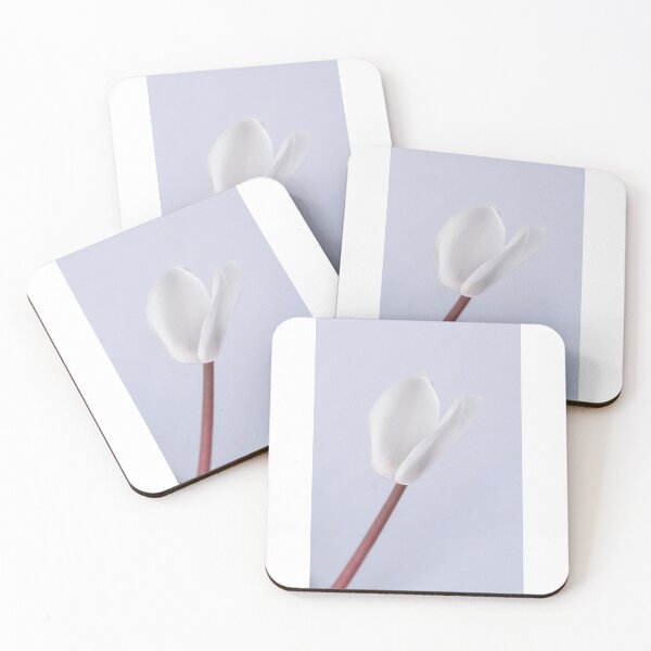 Item preview,  Close of White Cyclamen Flower designed and sold by Dreamscape Eclectic .