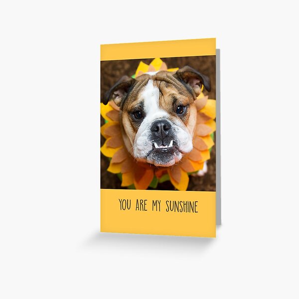 You Are My Sunshine, Yellow Greeting Card