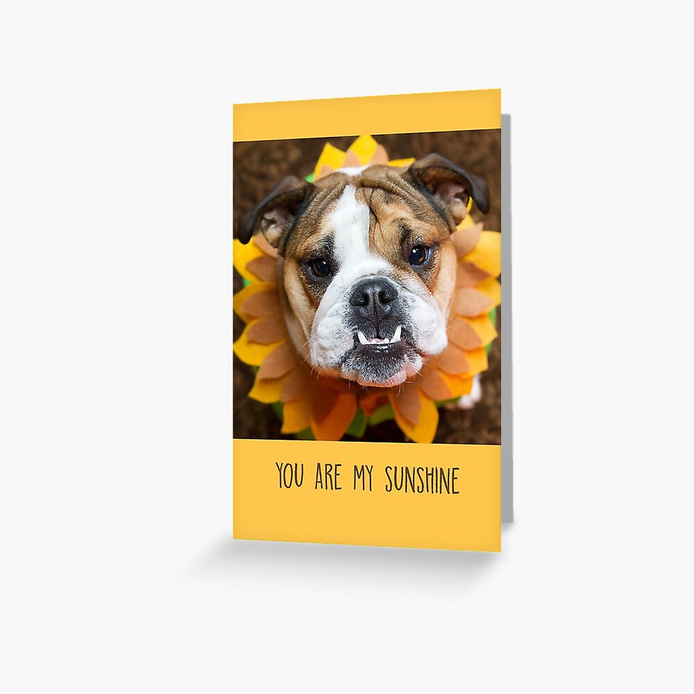 You Are My Sunshine, Yellow Greeting Card