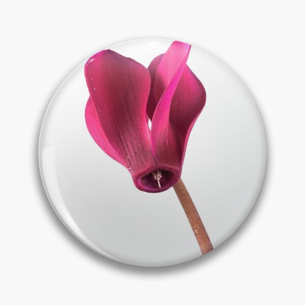 Item preview, Close of Pink Cyclamen Flower designed and sold by Dreamscape Eclectic .