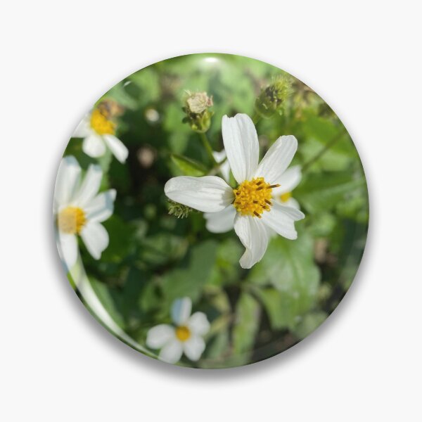 Item preview, Hairy Beggar's Ticks Flower designed and sold by Sinemathk.
