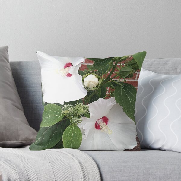 Item preview, Hibiscus Rose Of Sharon White Flower Blossom and Bud designed and sold by Mothe3rd.