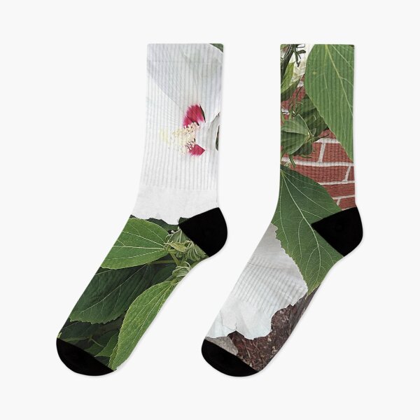 Item preview, Hibiscus Rose Of Sharon White Flower Blossom and Bud designed and sold by Mothe3rd.