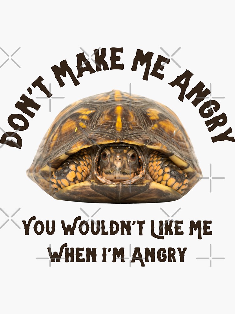 Angry Turtle Memes