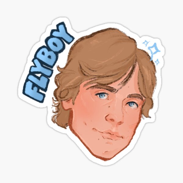 flyboy gayboy Sticker