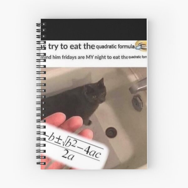 Item preview, HE WAS TRYING TO EAT THE QUADRATIC FORMULA designed and sold by Hunters11.