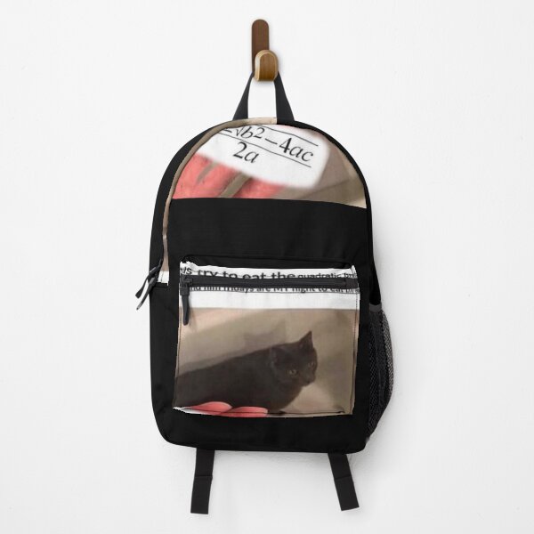 Item preview, HE WAS TRYING TO EAT THE QUADRATIC FORMULA designed and sold by Hunters11.