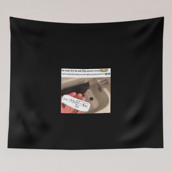 Item preview, HE WAS TRYING TO EAT THE QUADRATIC FORMULA designed and sold by Hunters11.