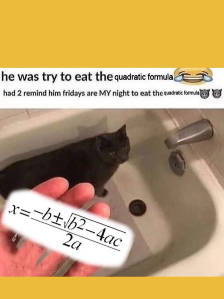 HE WAS TRYING TO EAT THE QUADRATIC FORMULA Leggings for Sale by Hunters11