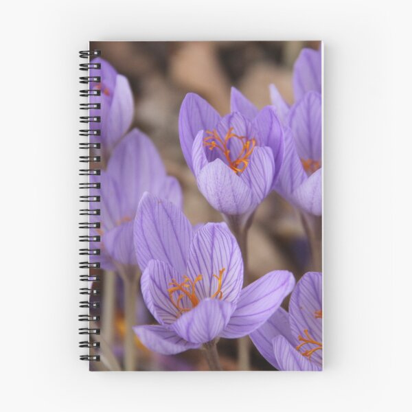 Item preview, Crocus Delight designed and sold by coffeebean.