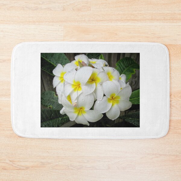 Item preview, Fresh White Frangipanis designed and sold by ppddesigns.